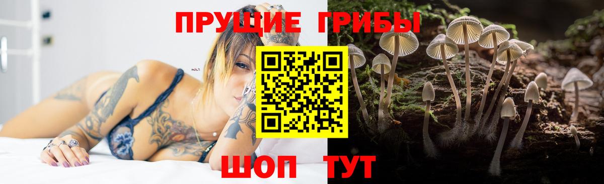 Новый Уренгой  Галлюциногенные грибы прущие грибы  Галлюциногенные грибы мухоморы  Вход с VPN 